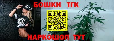винт Будённовск
