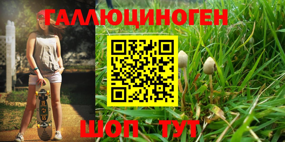 где найти наркотики  Псилоцибиновые грибы мицелий  Вход с VPN  Кушва 