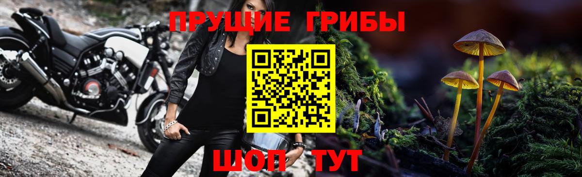 Псилоцибиновые грибы GOLDEN TEACHER Кушва